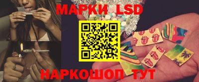 крисы Будённовск