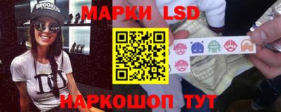 крисы Будённовск