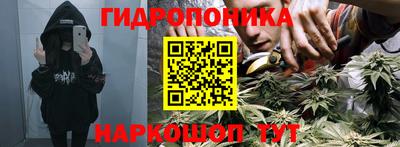 a pvp Бузулук