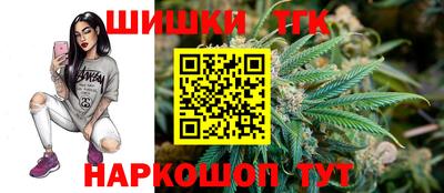 крисы Будённовск
