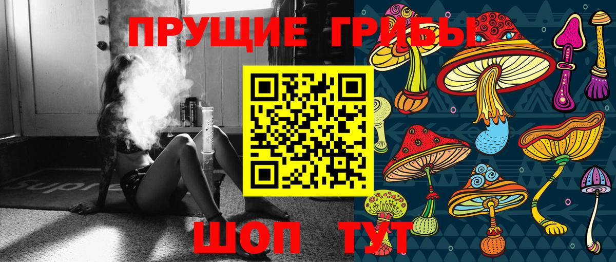 Псилоцибиновые грибы прущие грибы Набережные Челны